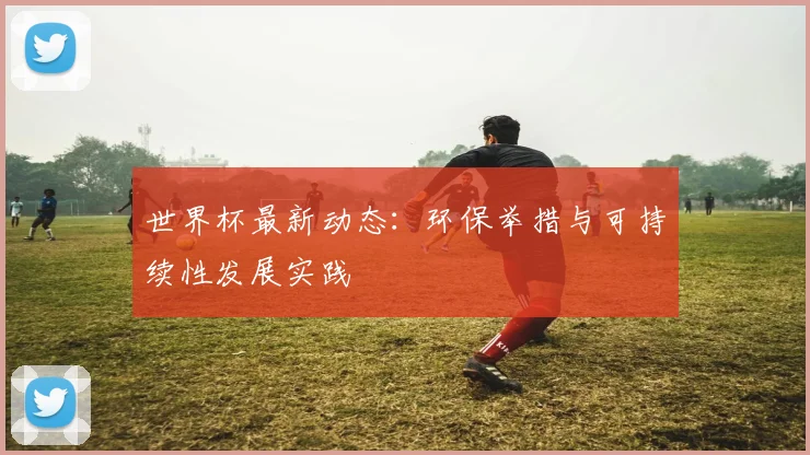 世界杯最新动态：环保举措与可持续性发展实践